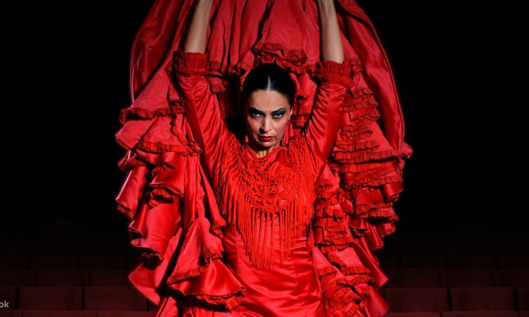 Pasión Flamenco Show 3